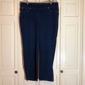Nygard Slims Indigo Pull On Straight Leg Jean Dark Wash SZ 2X